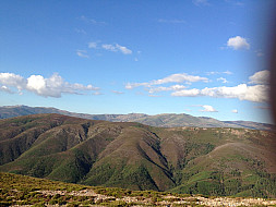 Natureza Local