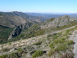 Natureza Local